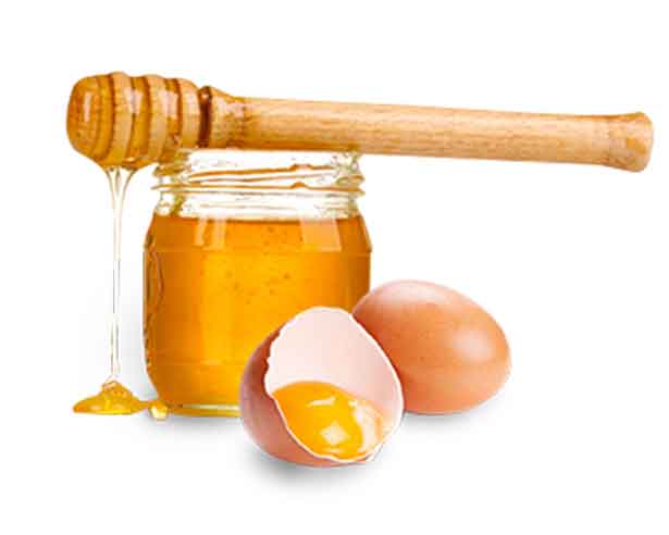 Мед и желток – доказанная эффективность лечения и восстановления